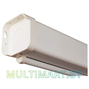 Проекционный экран Lumien Eco Picture 198x300 (LEP-100120) картинка 2